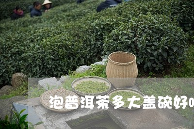 泡普洱茶多大盖碗好喝的/2023083151706