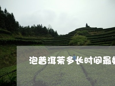 泡普洱茶多长时间最好/2023093048361