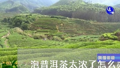 泡普洱茶太浓了怎么办/2023092839392