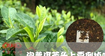 泡普洱茶头上要倒掉吗/2023093091714