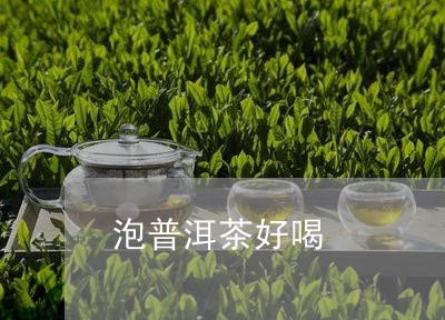 泡普洱茶好喝/2023042689642