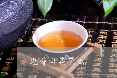 泡普洱茶怎么/2023042943799