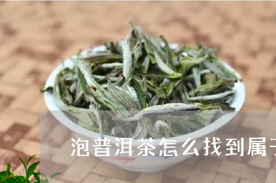 泡普洱茶怎么找到属于/2023100620471