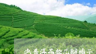 泡普洱茶放几瓣橘子/2023091584735