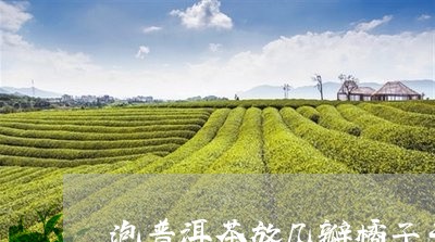 泡普洱茶放几瓣橘子干可以吗/2023052853057