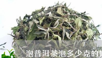 泡普洱茶泡多少克的好些/2023083180403