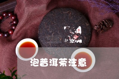 泡普洱茶注意/2023042710834