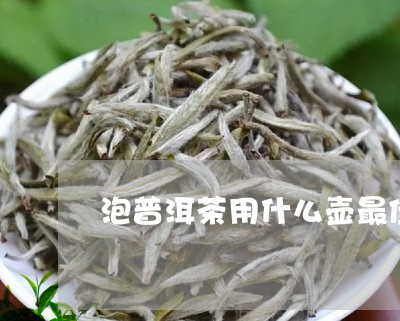 泡普洱茶用什么壶最佳呢/2023110169635