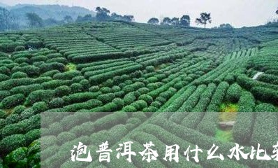 泡普洱茶用什么水比较好/2023110151605