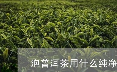 泡普洱茶用什么纯净水最好/2023110264736