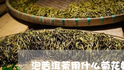 泡普洱茶用什么菊花好/2023062387169