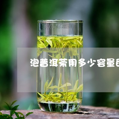 泡普洱茶用多少容量的水/2023050570504