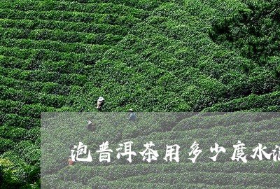 泡普洱茶用多少度水泡/2023093038571