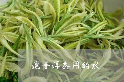 泡普洱茶用的水/2023082663837