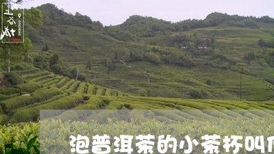 泡普洱茶的小茶杯叫什么/2023081716825