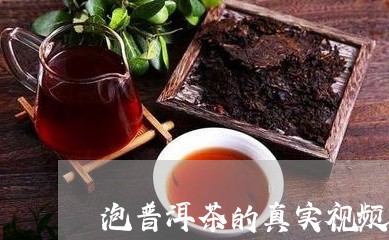 泡普洱茶的真实视频/2023120537489