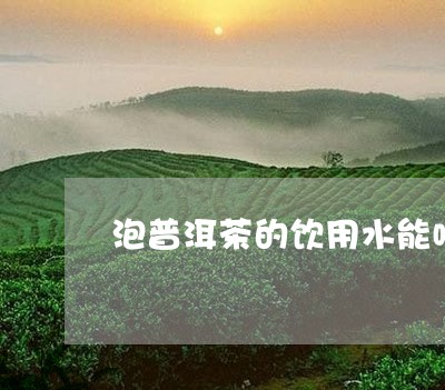 泡普洱茶的饮用水能喝吗/2023110130494