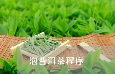 泡普洱茶程序/2023042760021