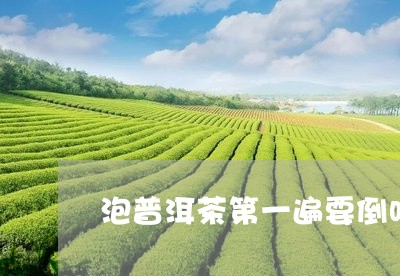 泡普洱茶第一遍要倒吗/2023061455827