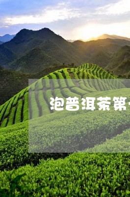 泡普洱茶第一遍要倒吗/2023092555037