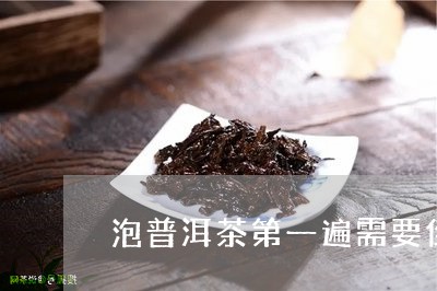 泡普洱茶第一遍需要倒掉吗视频/2023083180713