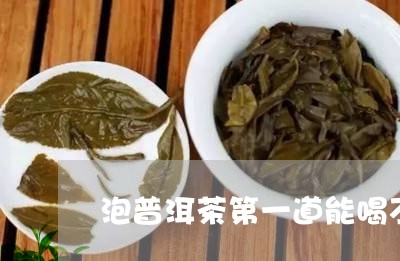 泡普洱茶第一道能喝不/2023092697049