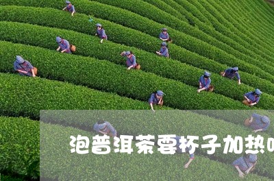 泡普洱茶要杯子加热吗/2023093063947