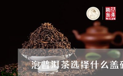 泡普洱茶选择什么盖碗好/2023110169482