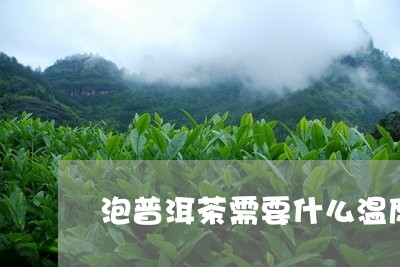 泡普洱茶需要什么温度/2023061848391