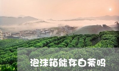 泡沫箱能存白茶吗/2023062291614