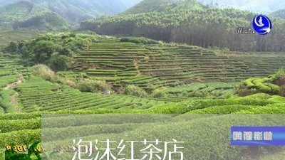 泡沫红茶店/2023110959816