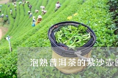 泡熟普洱茶的紫沙壶图片/2023110372915