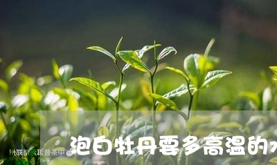 泡白牡丹要多高温的水/2023120985046