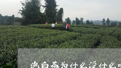 泡白茶为什么没什么味道/2023102720806