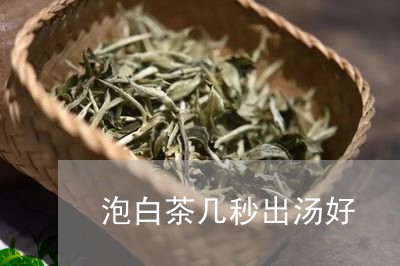 泡白茶几秒出汤好/2023062273815