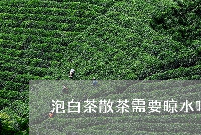 泡白茶散茶需要晾水吗/2023100368491