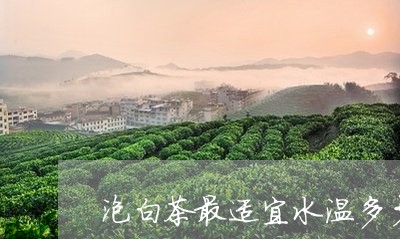 泡白茶最适宜水温多少/2023100317041