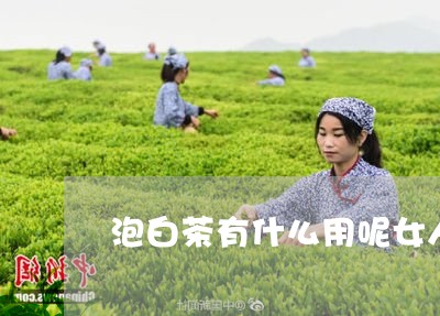 泡白茶有什么用呢女人喝/2023082527259