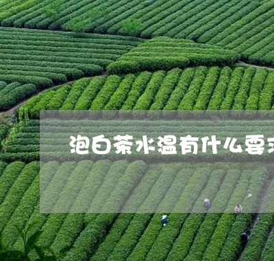 泡白茶水温有什么要求/2023100389481