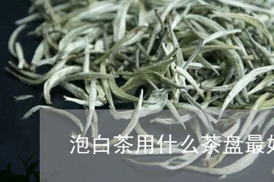 泡白茶用什么茶盘最好/2023100325172