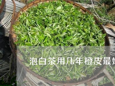 泡白茶用几年橙皮最好/2023100308581