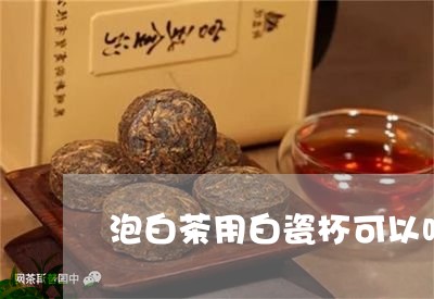 泡白茶用白瓷杯可以吗/2023100307281