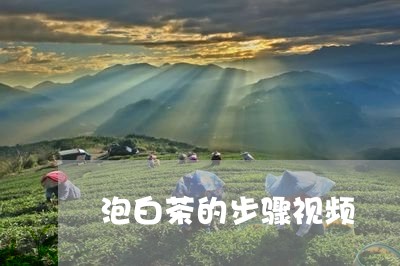 泡白茶的步骤视频/2023062266281