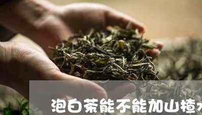 泡白茶能不能加山楂水/2023100355037