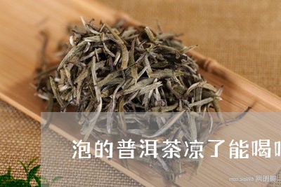 泡的普洱茶凉了能喝吗/2023061720717