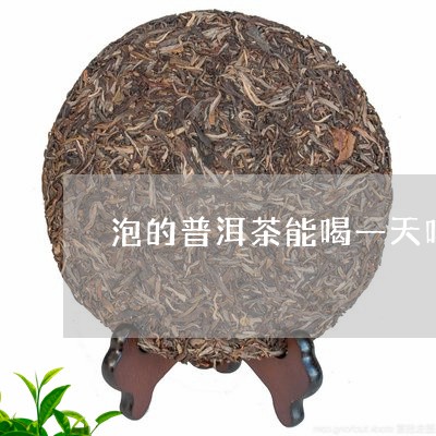 泡的普洱茶能喝一天吗/2023061468472