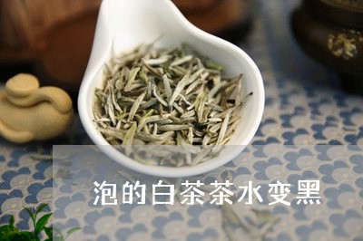 泡的白茶茶水变黑/2023062269605