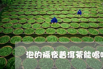 泡的隔夜普洱茶能喝吗/2023092869493