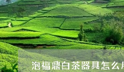 泡福鼎白茶器具怎么用/2023120661049