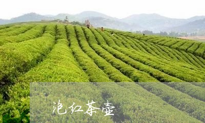 泡红茶壶/2023121925170